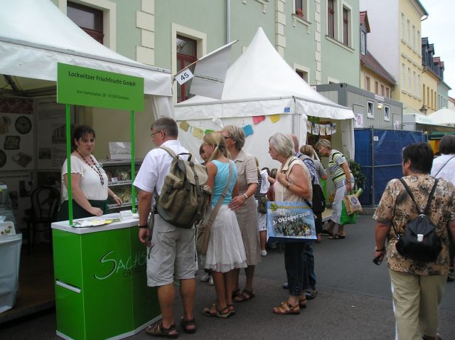 Tag der Sachsen 2008